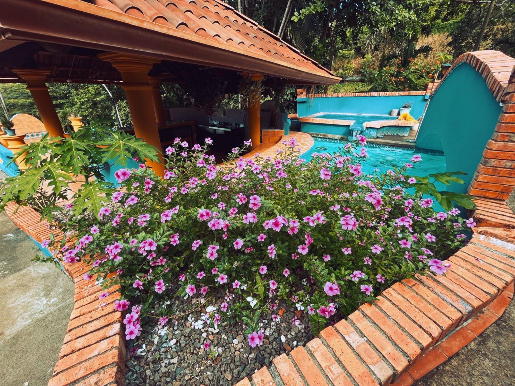 Siwo Art Guesthouse Playa Ocotal Zewnętrze zdjęcie